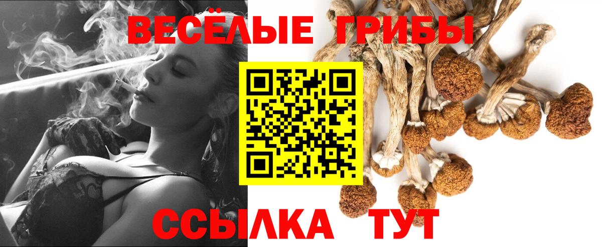 Черемхово  Галлюциногенные грибы ЛСД  Вход с VPN 