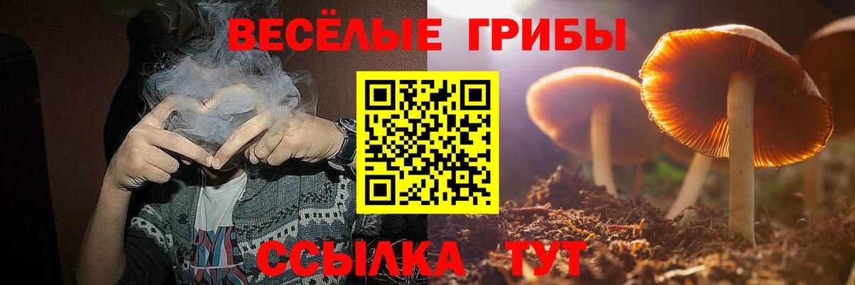 Псилоцибиновые грибы Cubensis Черемхово